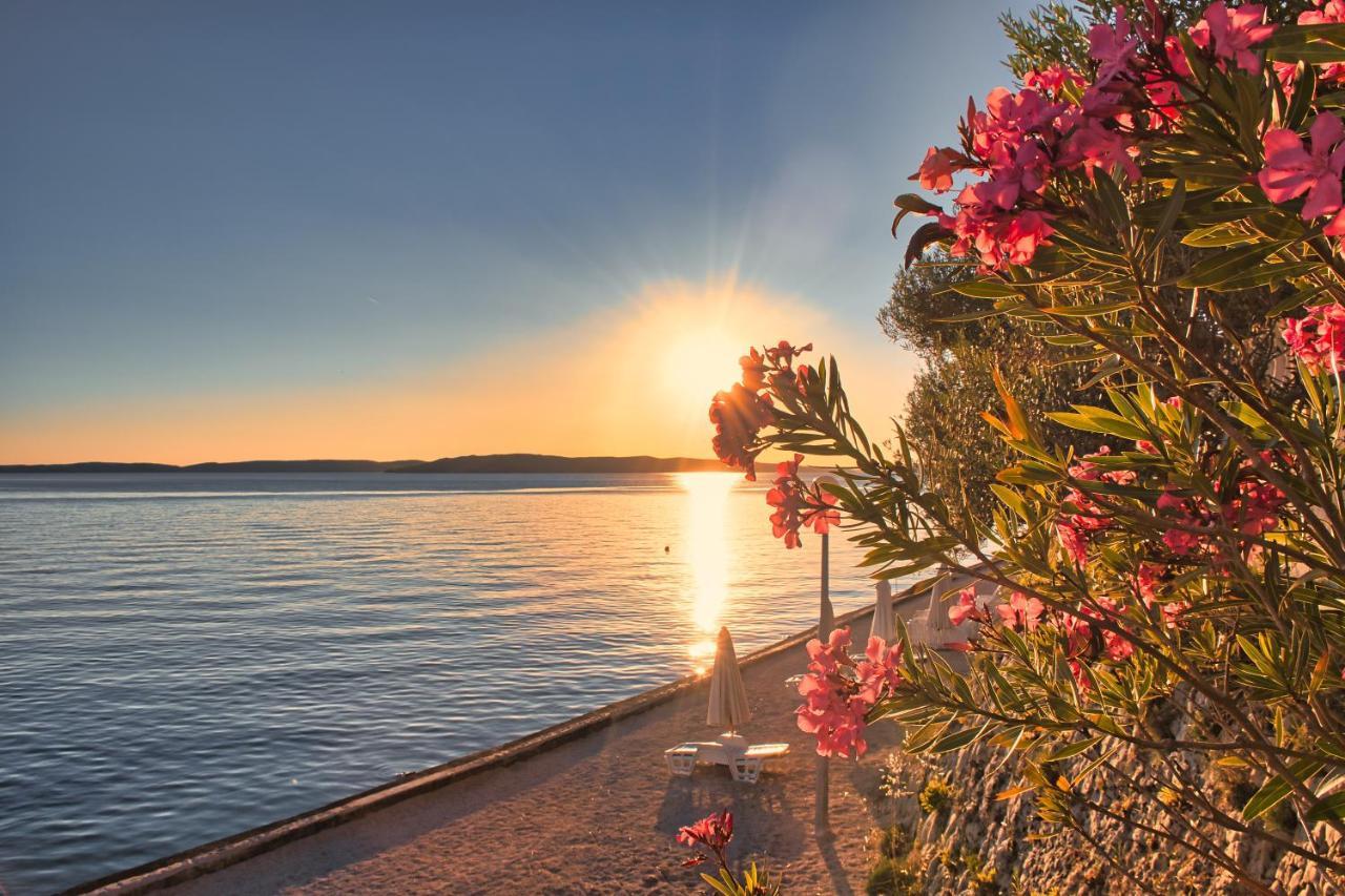 Pension Augustino Miletici Экстерьер фото